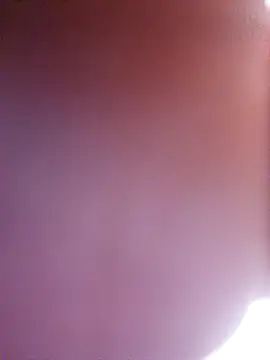 wadmma online show from 19, 2, 2026