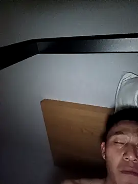 wadmma online show from 31, 10, 2025