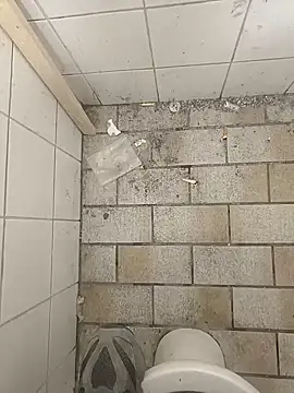 wadmma online show from 19, 11, 2025