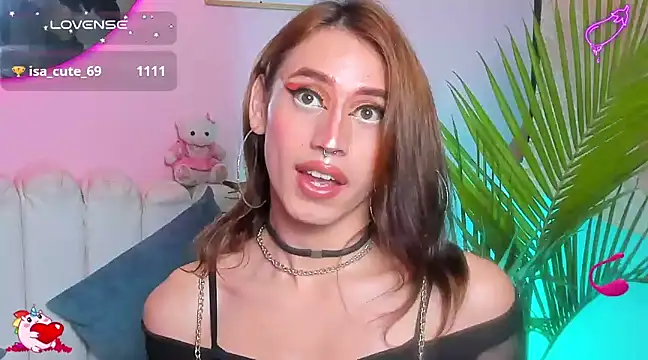  Star Mor  online show from 4, 2, 2025