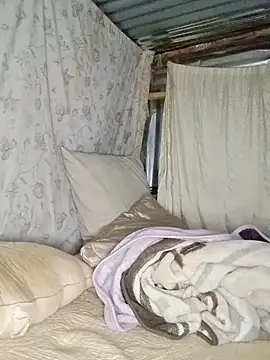 Velvet69 online show from 25, 11, 2025