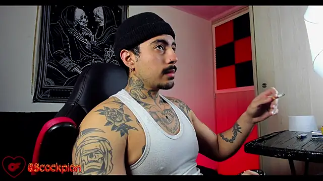 scockpion   online show from 18, 2, 2026