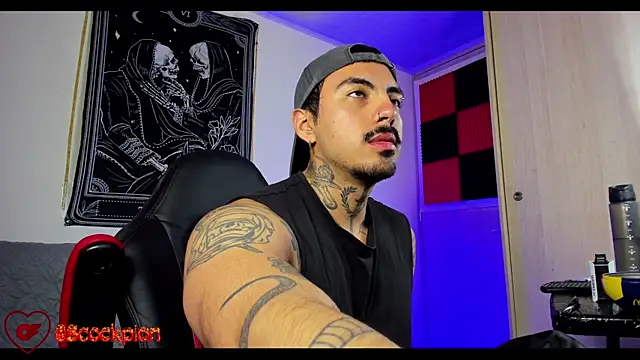 scockpion   online show from 12, 2, 2026