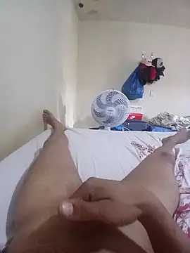 casadosafado20 online show from 4, 3, 2026