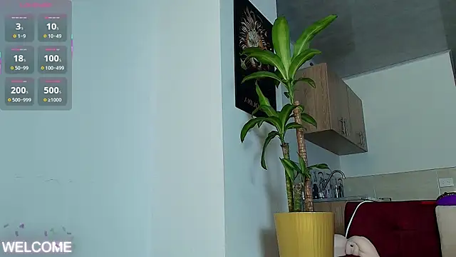 Dwayne Brown online show from 3, 4, 2026