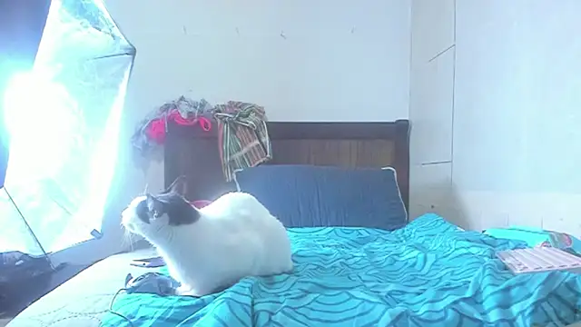 brigitho5 online show from 21, 10, 2025