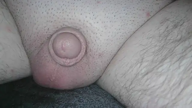 Snapshot of stubbydick3 chatting on 12, 3, 2025 stubbydick3 online show from 12, 3, 2025