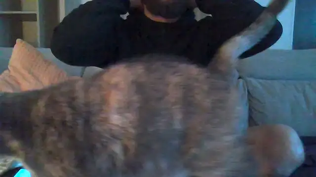 Zer oki online show from 7, 1, 2026