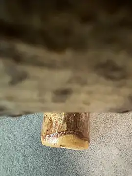 fuocovivo4 online show from 30, 1, 2025