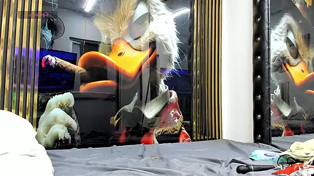 michell78sexy online show from 12, 6, 2026