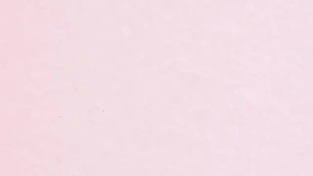 JhoanLeandro online show from 11, 4, 2026