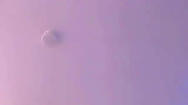 leahaltomm online show from 18, 4, 2026