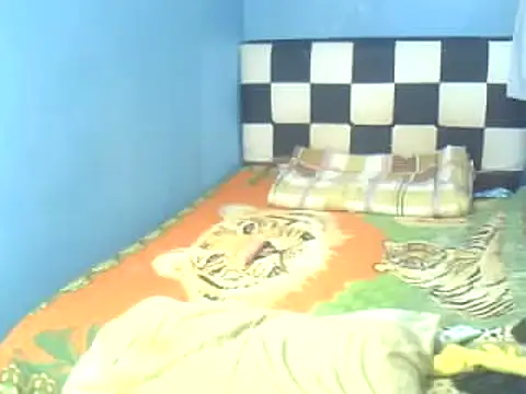 DivinaTransStrella online show from 6, 2, 2025