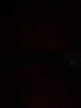 Snapshot of PINO_pino_01 chatting on 12, 11, 2025 PINO pino 01 online show from 12, 11, 2025