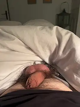 Avignon1963 online show from 11, 4, 2026