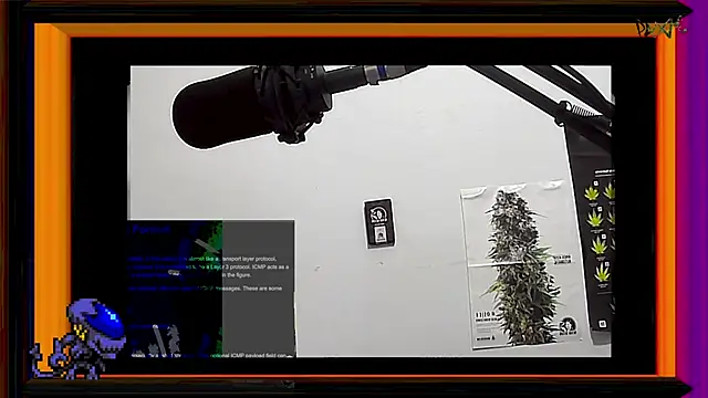 ReyDeBotones online show from 13, 3, 2025