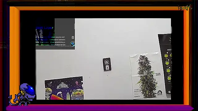 ReyDeBotones online show from 14, 3, 2025