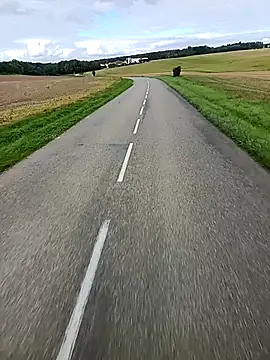 Dam70 online show from 9, 10, 2025