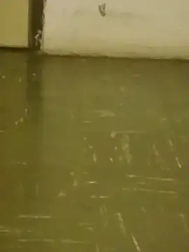 DahGiver online show from 18, 2, 2025