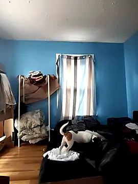 GsSpot69 online show from 24, 10, 2025