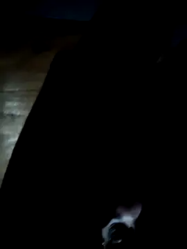 GsSpot69 online show from 25, 10, 2025