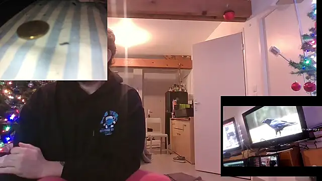 Mastersanges online show from 15, 12, 2025