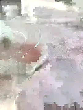 Arabian online show from 7, 11, 2025