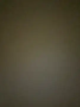 Arabian online show from 28, 2, 2025