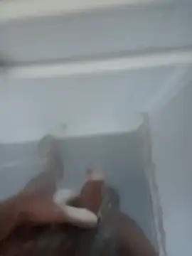 Snapshot of bigcockturk3 chatting on 12, 2, 2025 bigcockturk3 online show from 12, 2, 2025