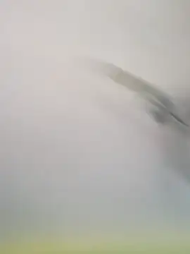 Yashkumar 0697 online show from 16, 11, 2025