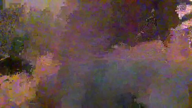 eccomi6996 online show from 28, 5, 2026