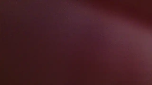 Snapshot of lissa_palmer chatting on 12, 11, 2025 lissa palmer online show from 12, 11, 2025