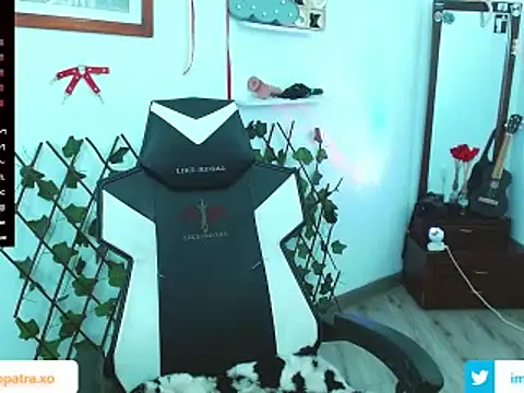 Snapshot of imcleo_xoxo chatting on 21, 2, 2025 imcleo xoxo online show from 21, 2, 2025