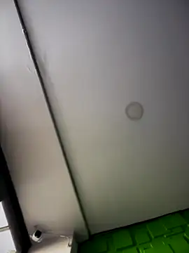 Dulce  Boyd online show from 7, 11, 2025