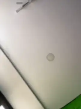 Dulce  Boyd online show from 11, 2, 2026