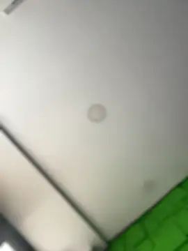 Dulce  Boyd online show from 12, 3, 2026