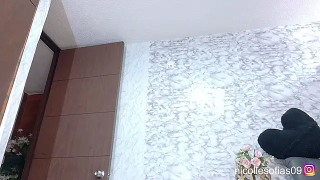nicollesofia2 online show from 14, 6, 2026