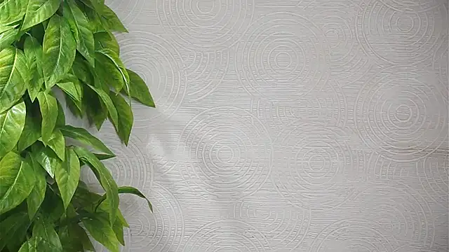 GwenBottrellv online show from 8, 2, 2025