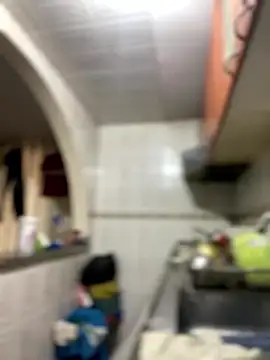 Carola-Ross online show from 14, 1, 2026