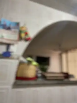 Carola-Ross online show from 17, 4, 2026