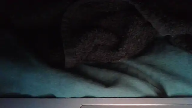 sheiku online show from 11, 10, 2025