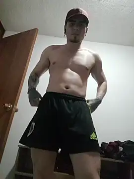 Logan Roy18 online show from 17, 11, 2025