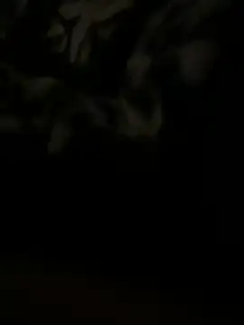 Snapshot of salma74779 chatting on 20, 3, 2025 salma74779 online show from 20, 3, 2025