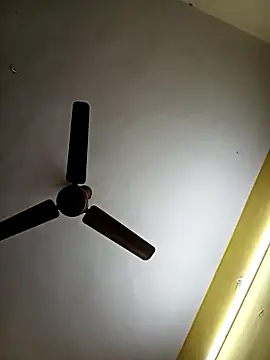 Thamarai28 online show from 5, 3, 2026