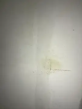 Hamza-Maroki online show from 21, 11, 2025