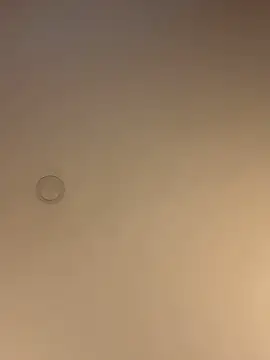 ValentinaOrtiz3 online show from 13, 3, 2026