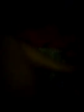 jonzzvergs online show from 9, 2, 2025