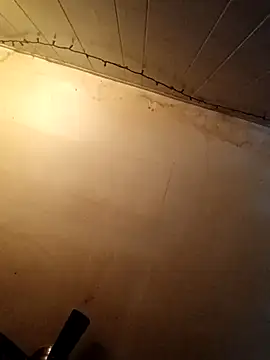 Snapshot of birdg chatting on 27, 10, 2025 birdg online show from 27, 10, 2025