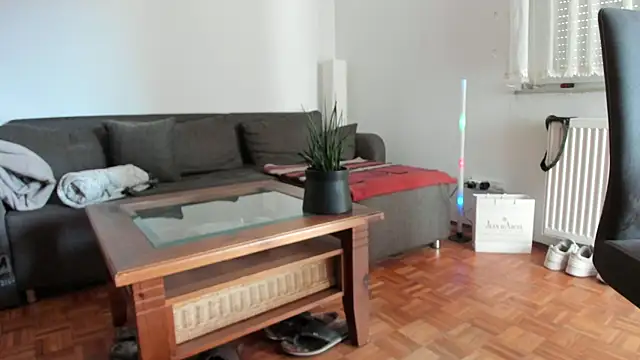 molicaremolicare online show from 13, 11, 2025