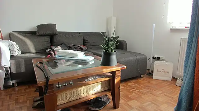 molicaremolicare online show from 27, 11, 2025